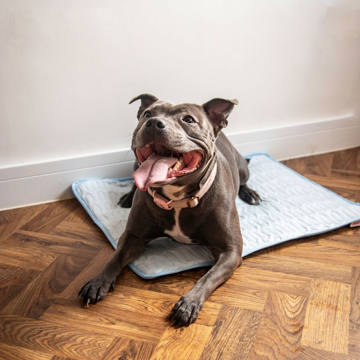 Rosewood cooling mat with cover