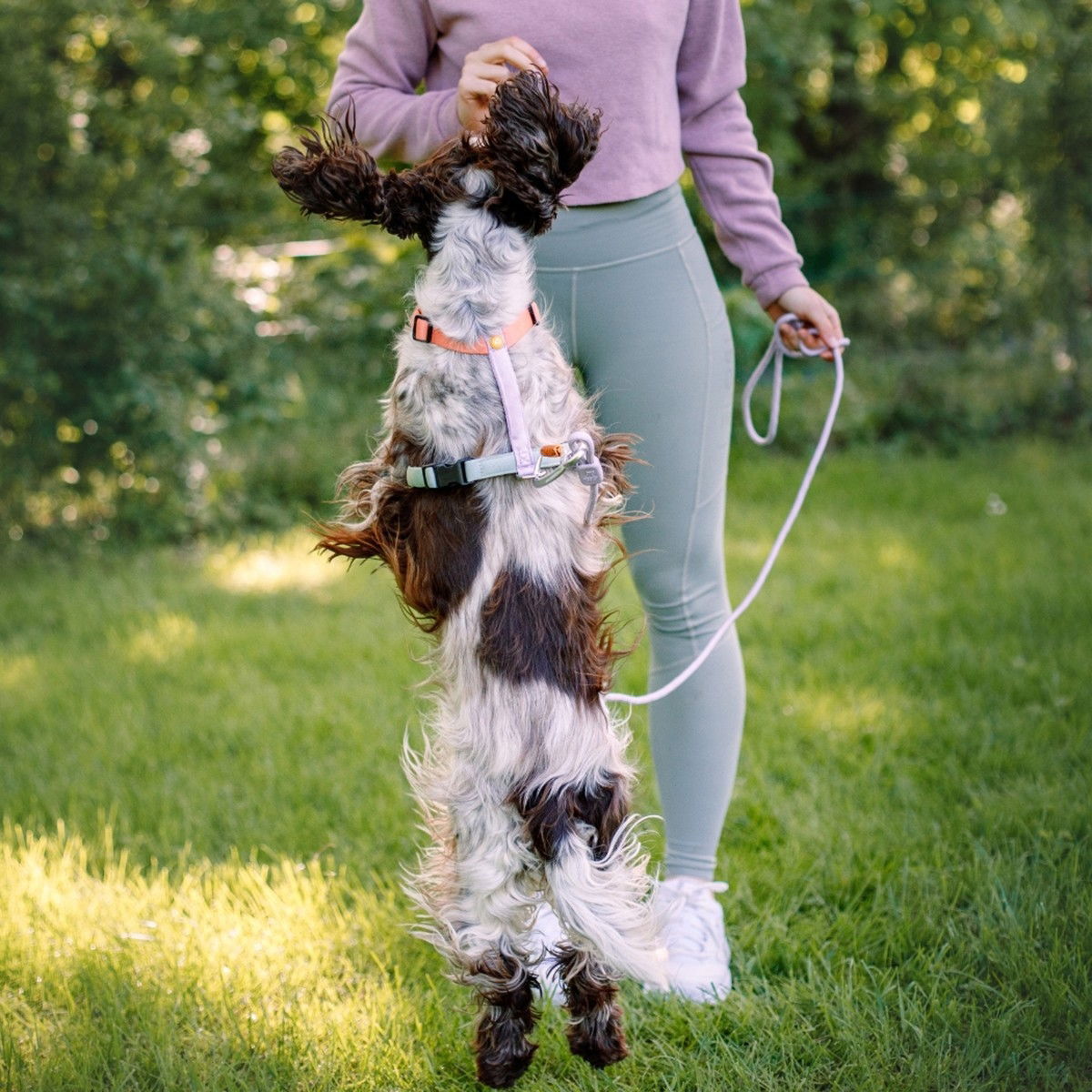 Woolly Wolf Color Block Harness, Salmon Pink Mix