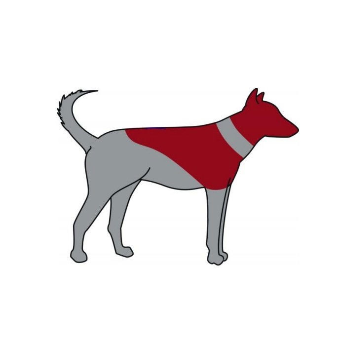 TR Protective collar, inflatable XXS