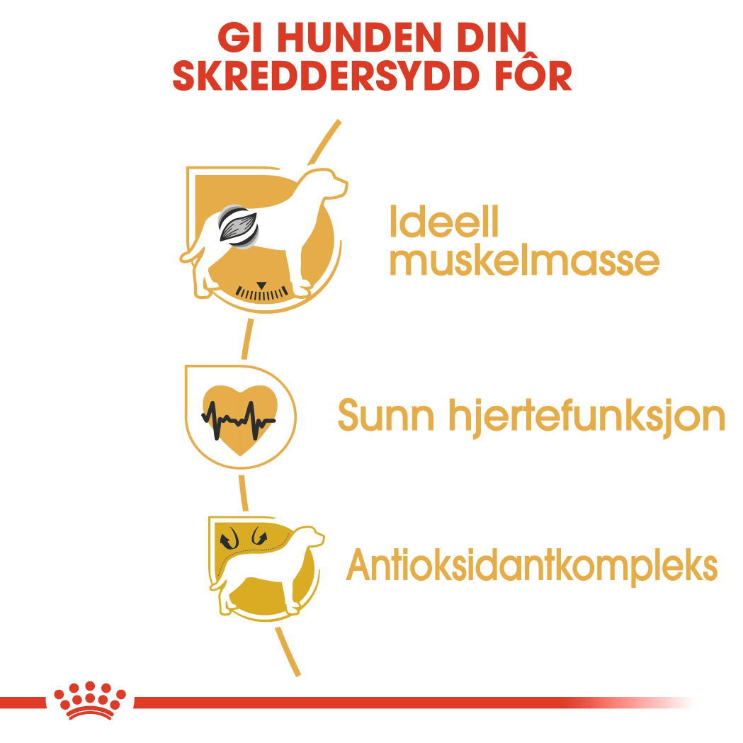 Royal Canin Boxer Adult tørrfôr til hund