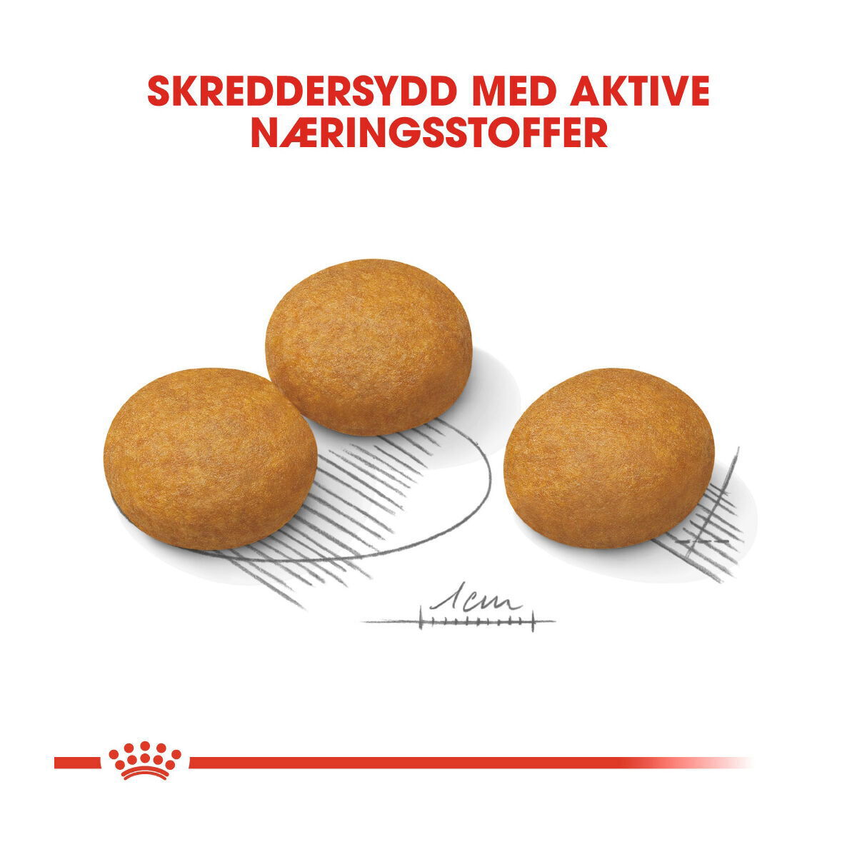 Royal Canin Maxi Dermacomfort