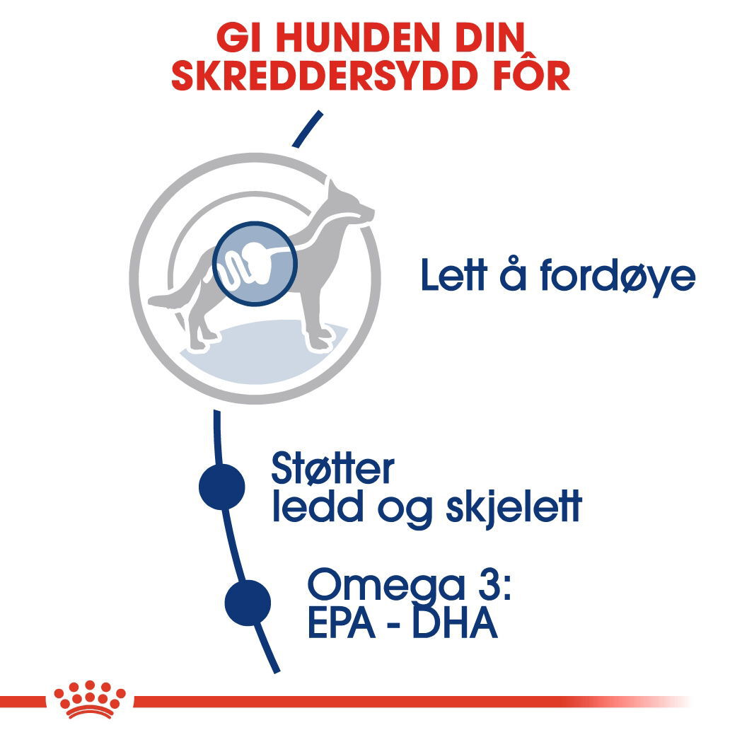 Royal Canin Maxi Adult tørrfôr til hund