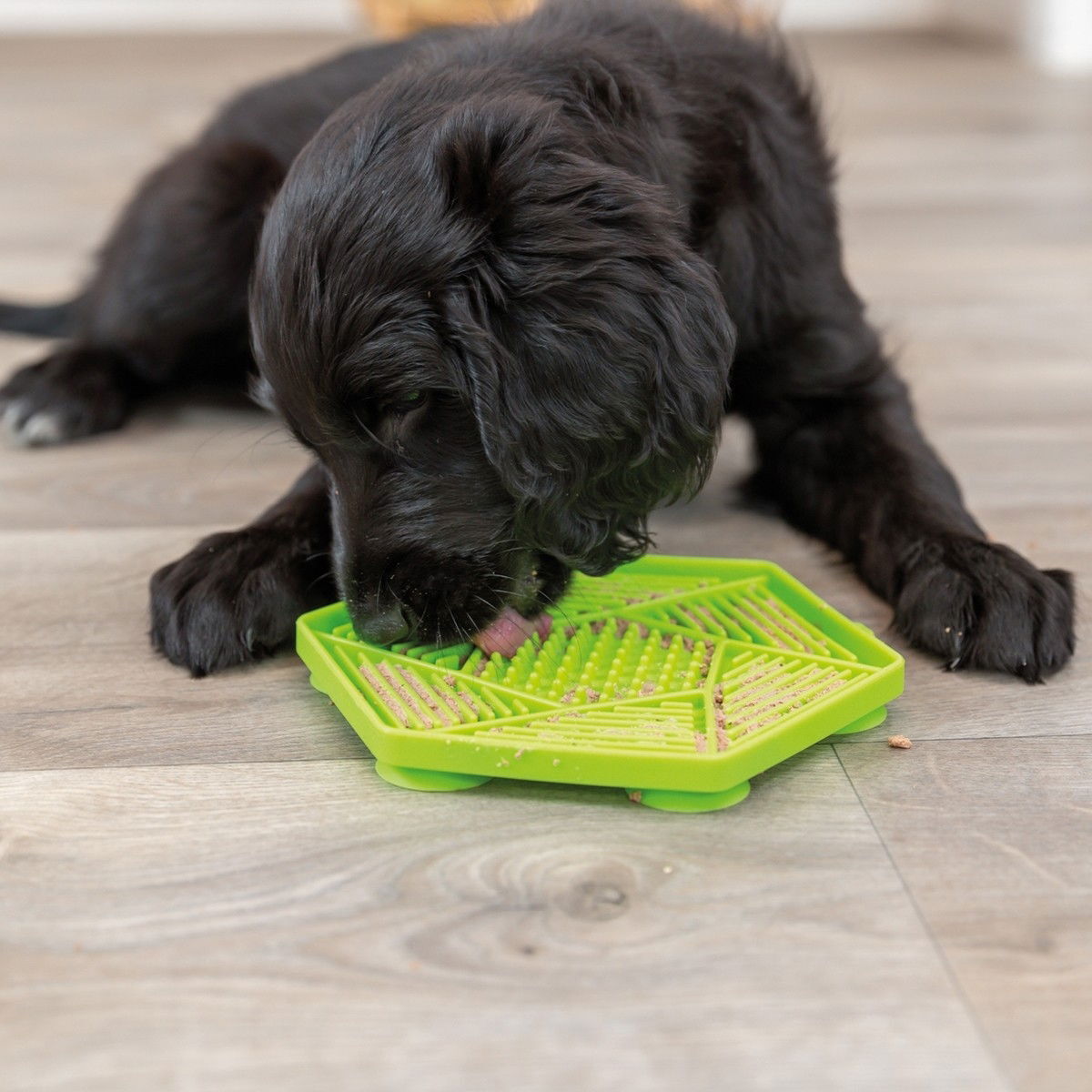 Trixie Lick'n'Snack mat 17 cm, green