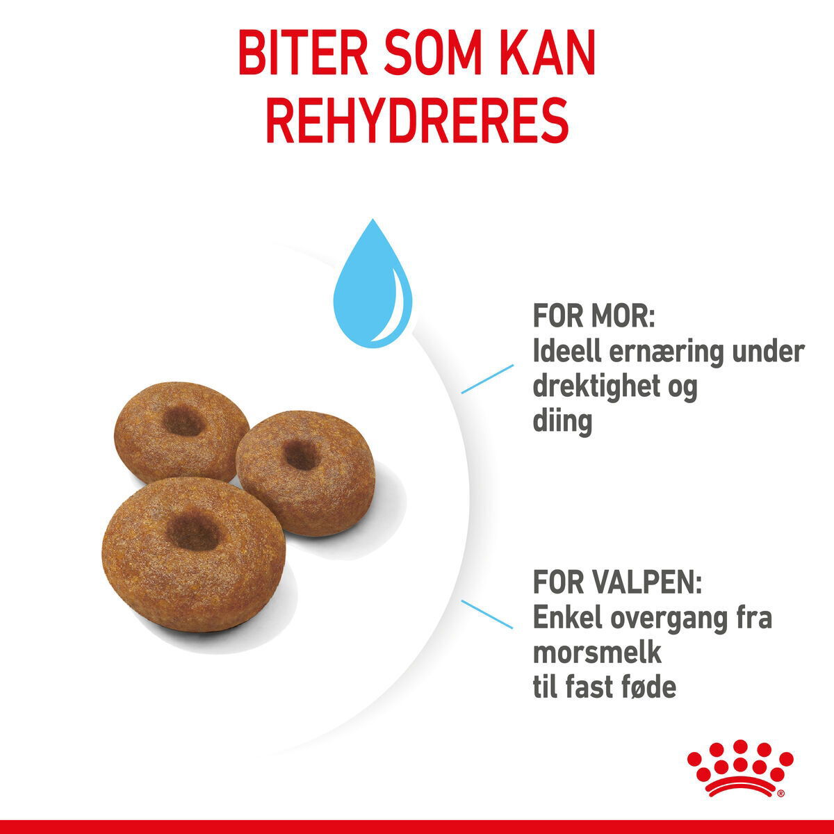 Royal Canin Maxi Starter tørrfôr til hund og valp