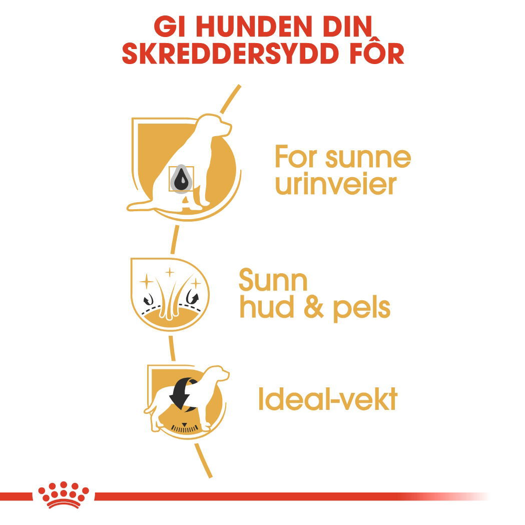 Royal Canin Bichon Frisé Adult tørrfôr til hund