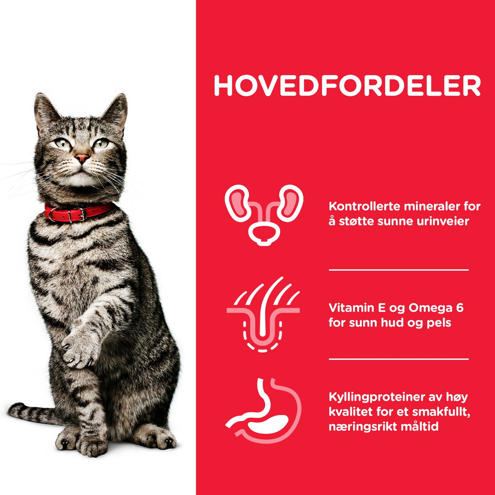 Hill's Science Plan Cat Urinary Sterilised