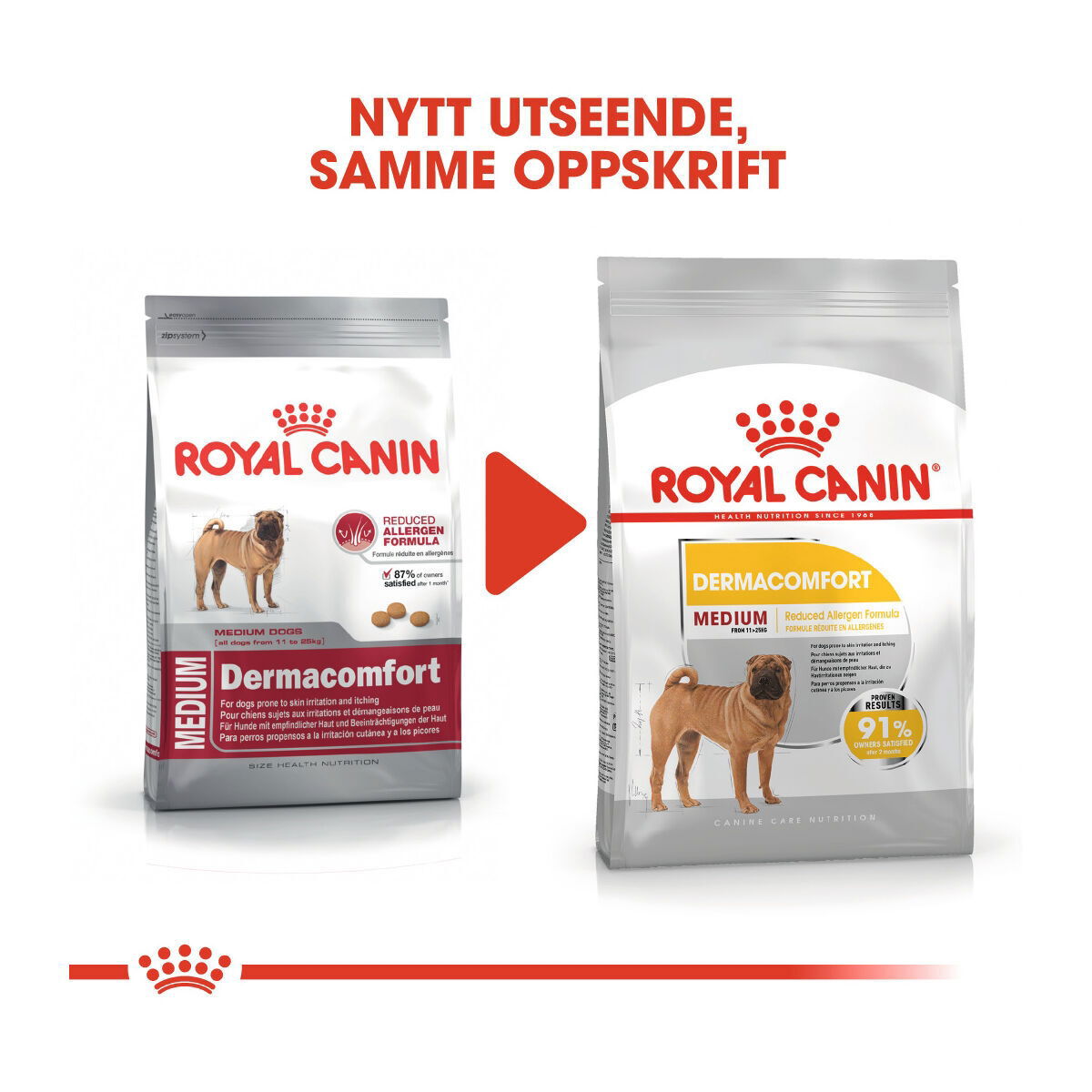 Royal Canin Dermacomfort Medium Adult tørrfôr til hund