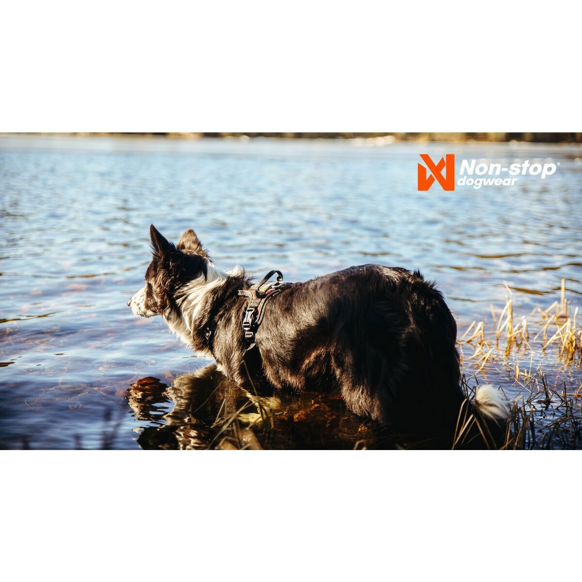 non-Stop Rock harness black/orange