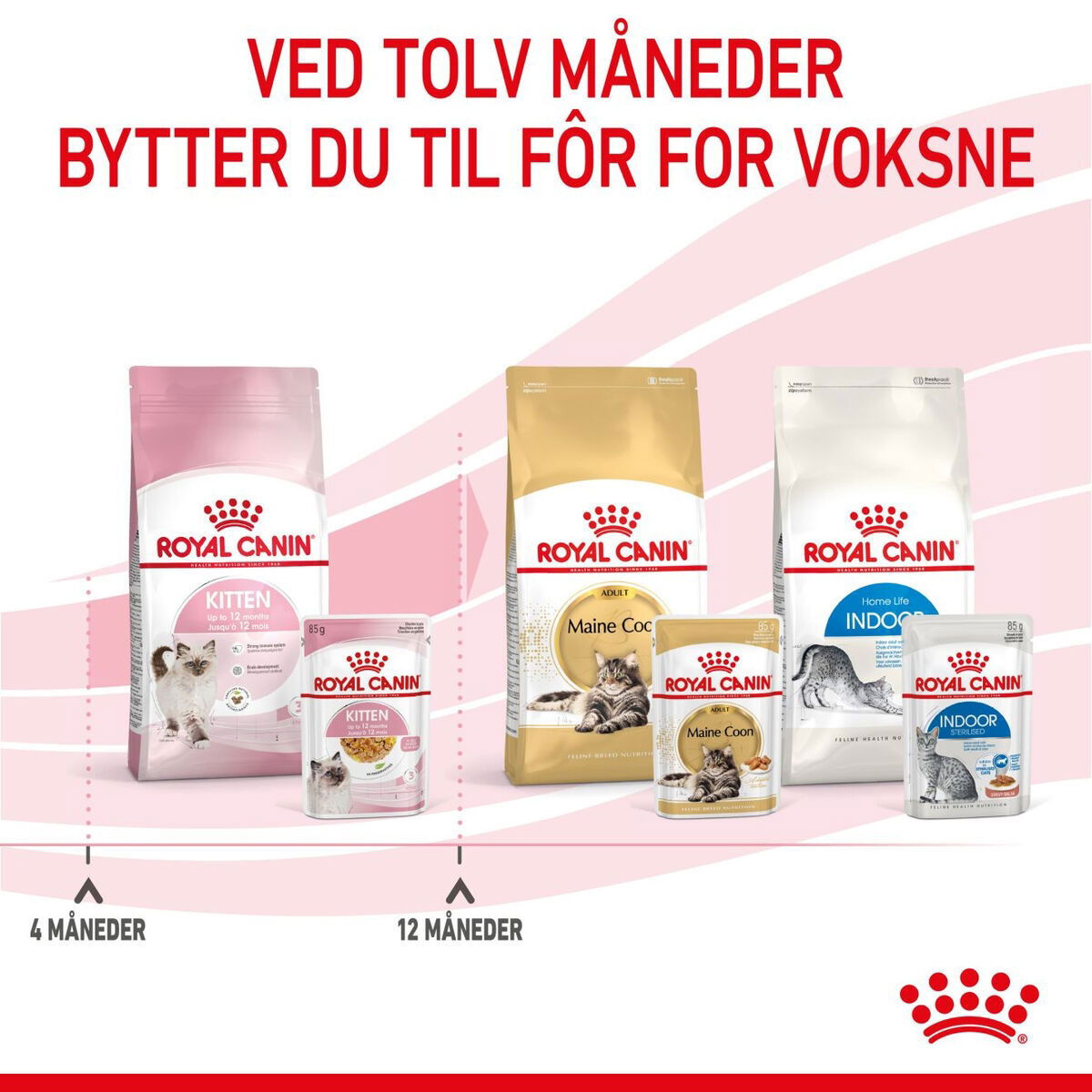 Royal Canin Kitten Jelly våtfôr til kattunge