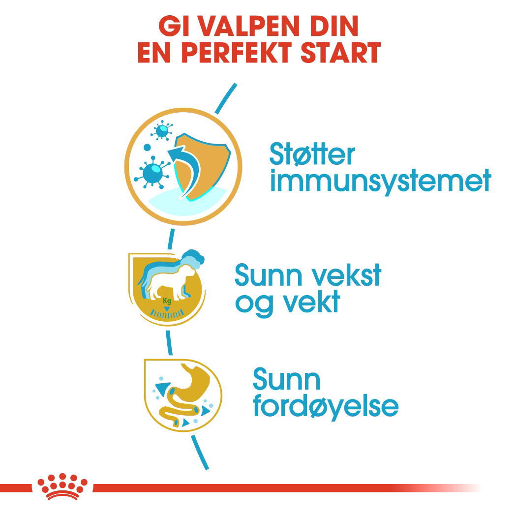 Royal Canin Labrador Retriever Puppy tørrfôr til hundvalp