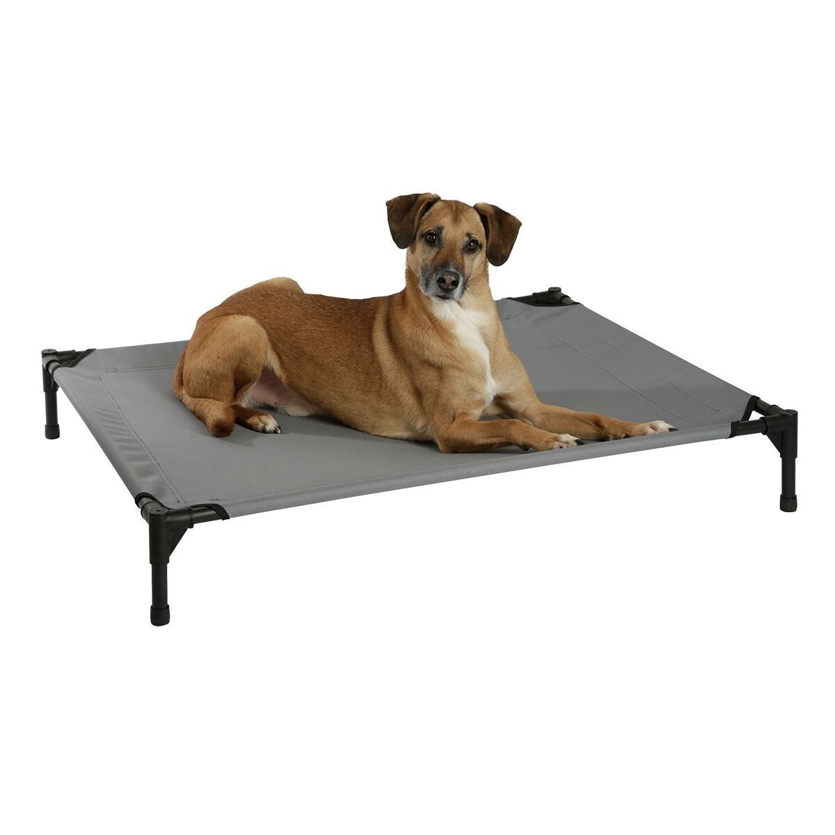 Dog Couch Vacation Top grey
