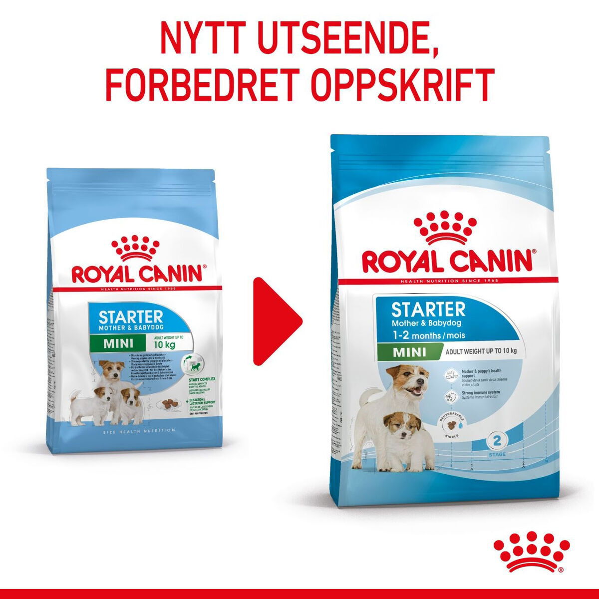 Royal Canin Mini Starter