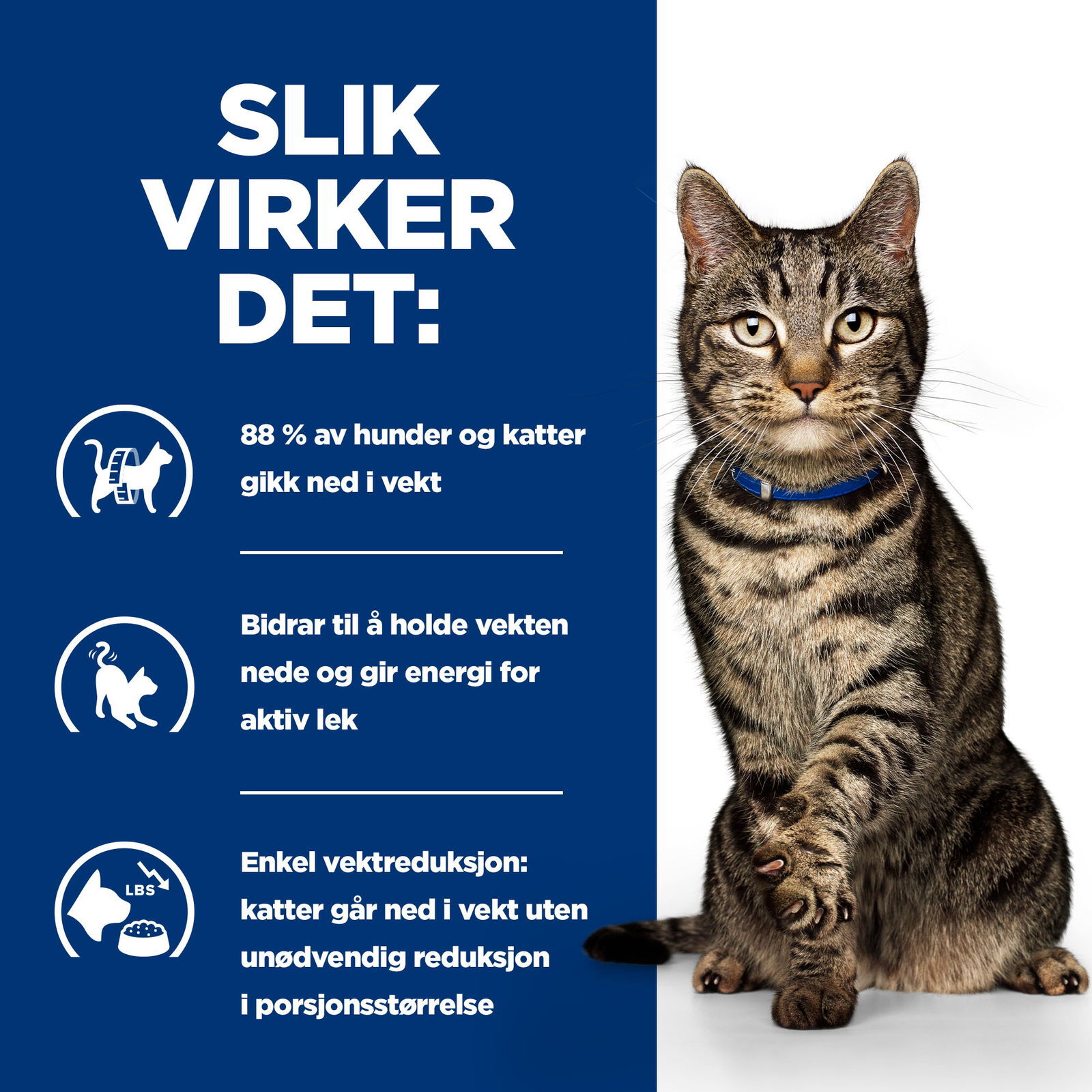 Hills Diet Cat Metabolic Portionspåse 12x85g