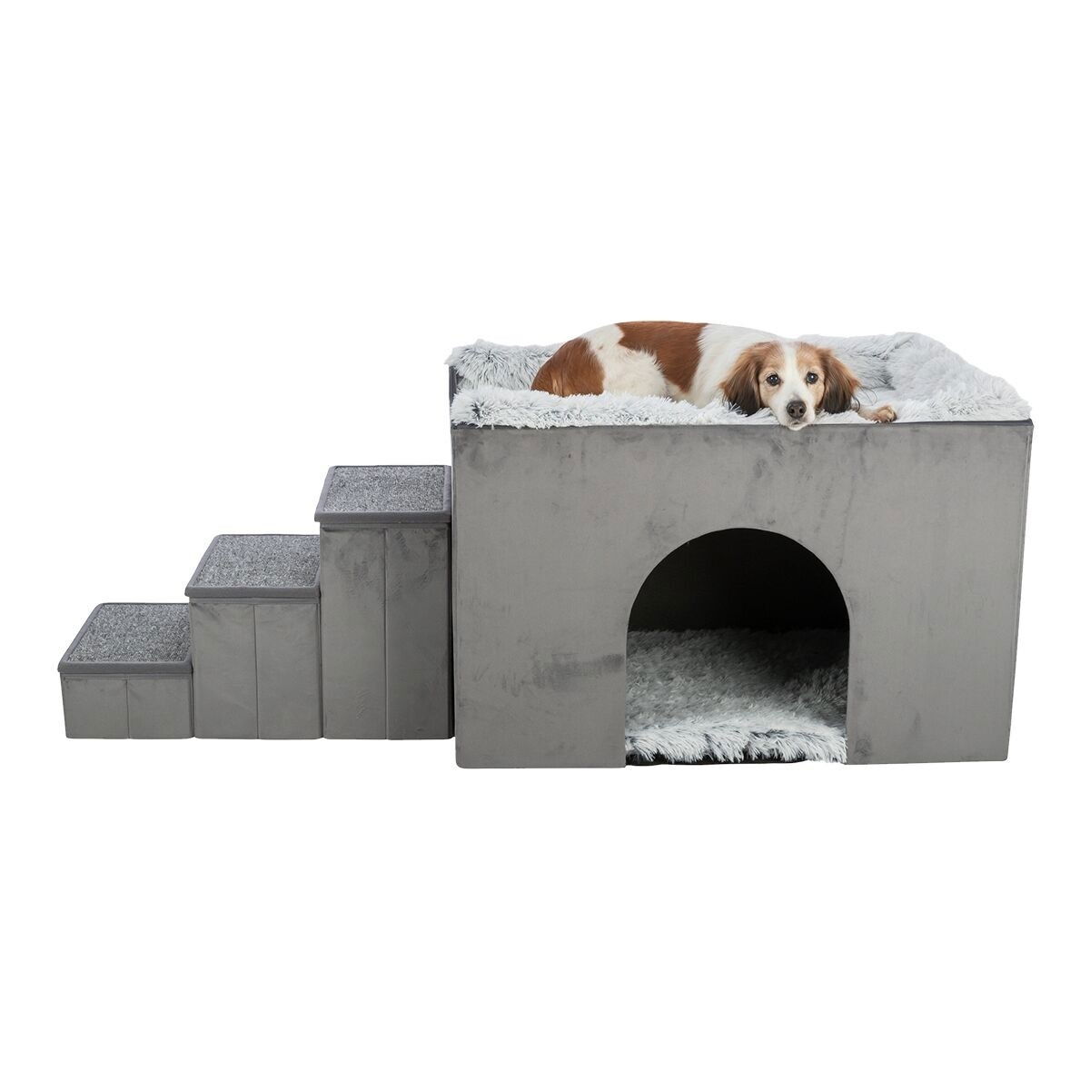 Trixie Harvey cave and steps 