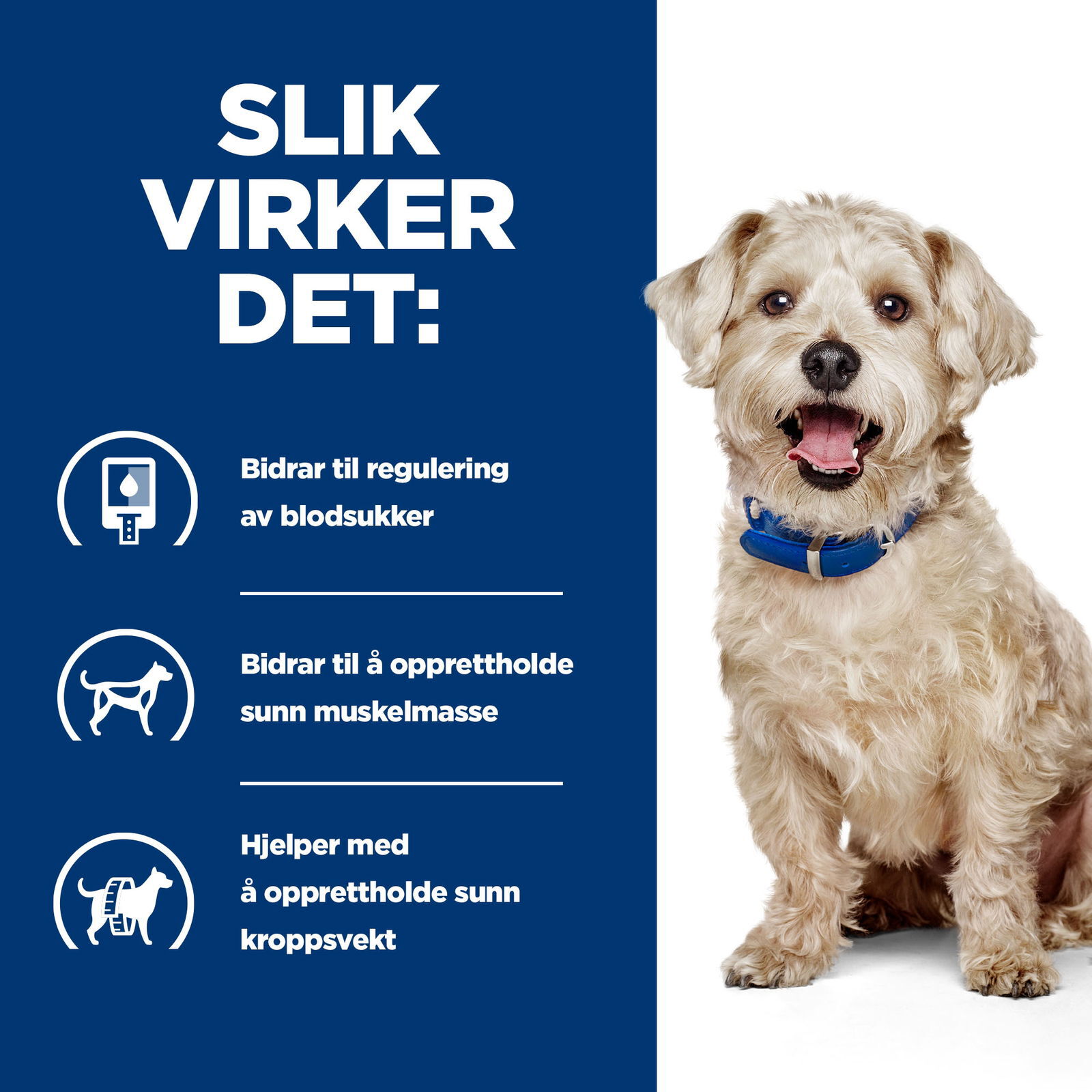 Hills Diet Dog w/d 4kg