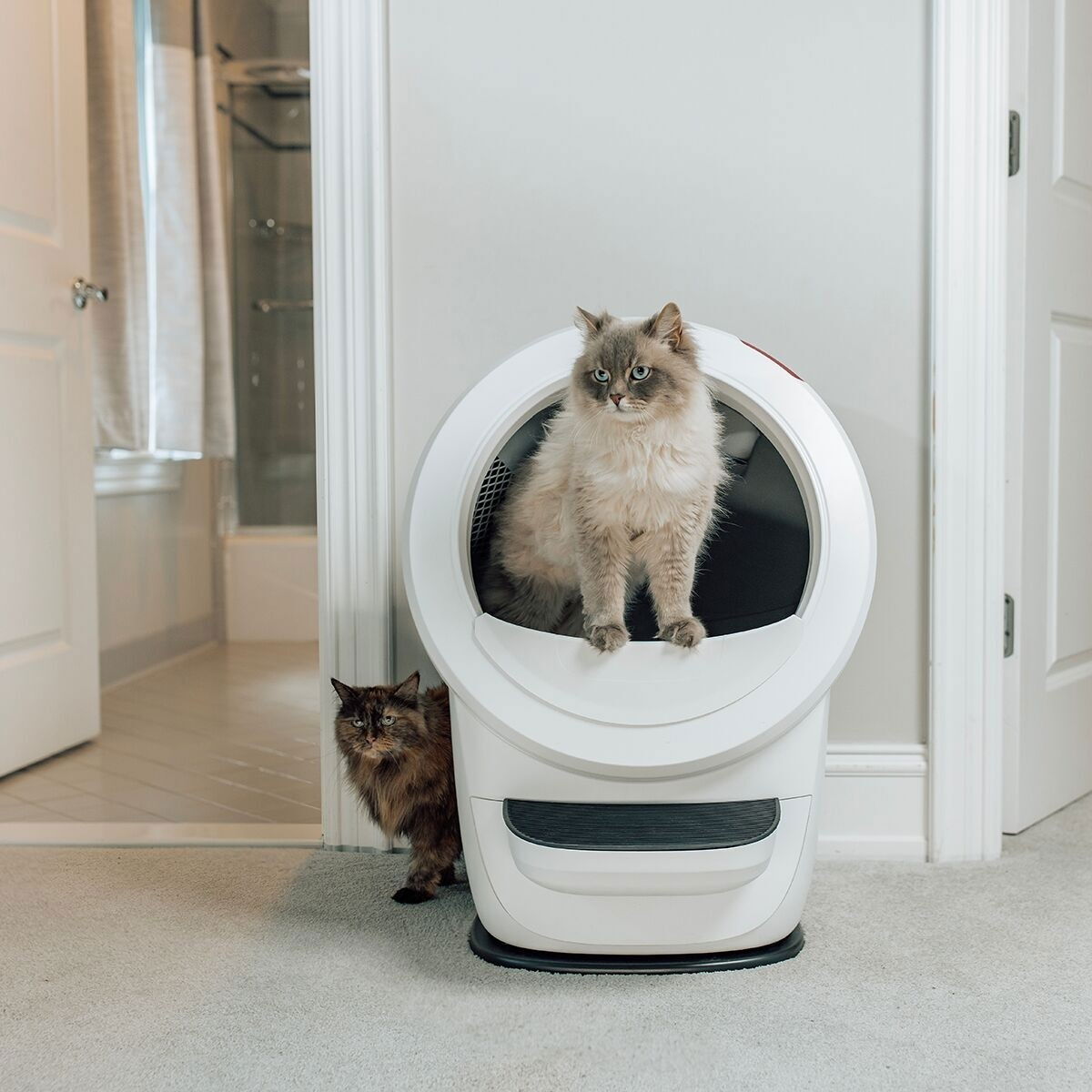 Whisker Litter-Robot 4, white