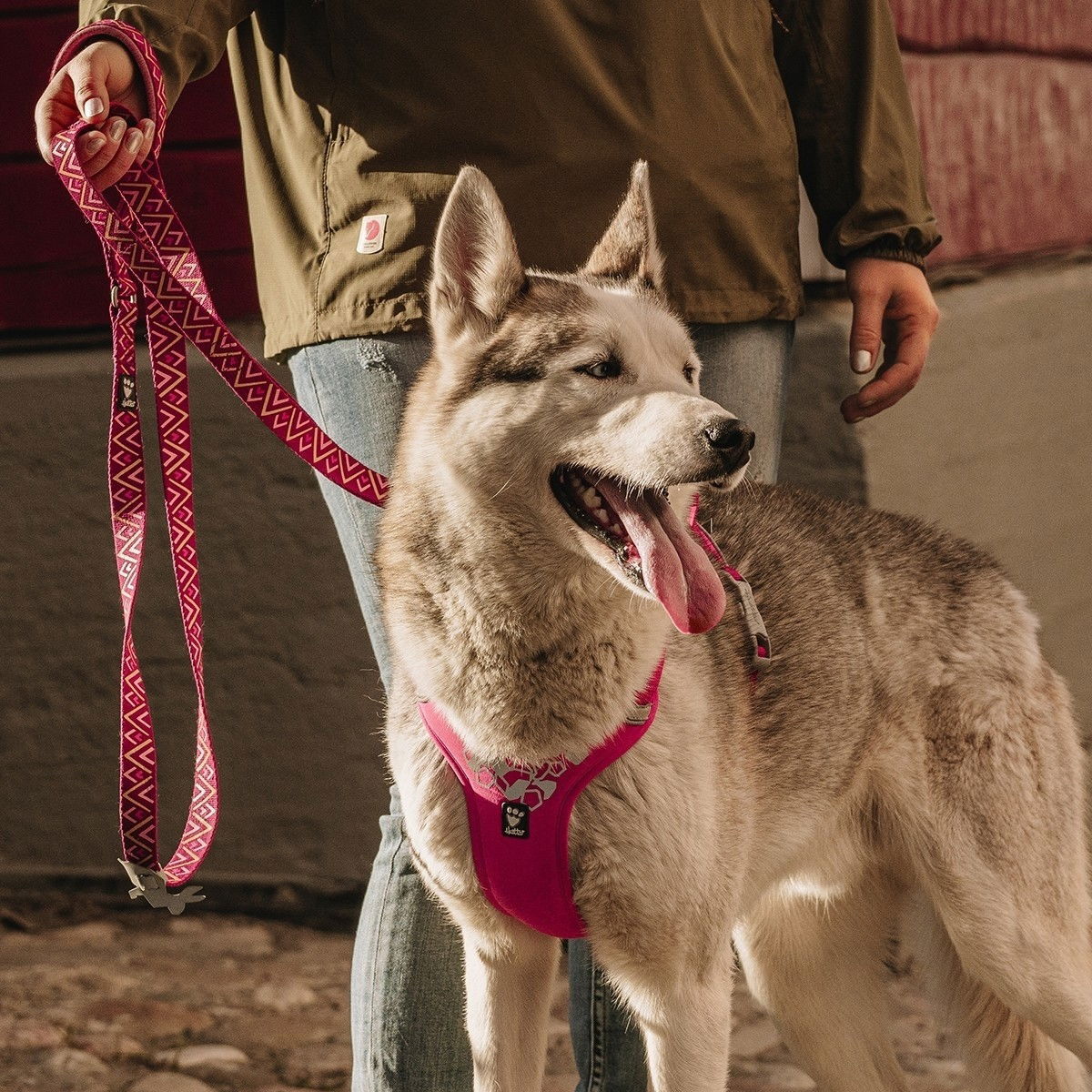 Hurtta Weekend Warrior harness, ruby