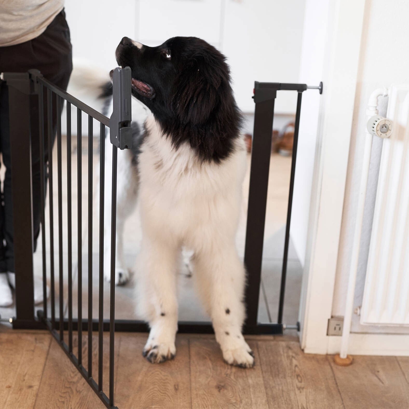 DogSpace Lassie gate extension 7 cm 2 pcs