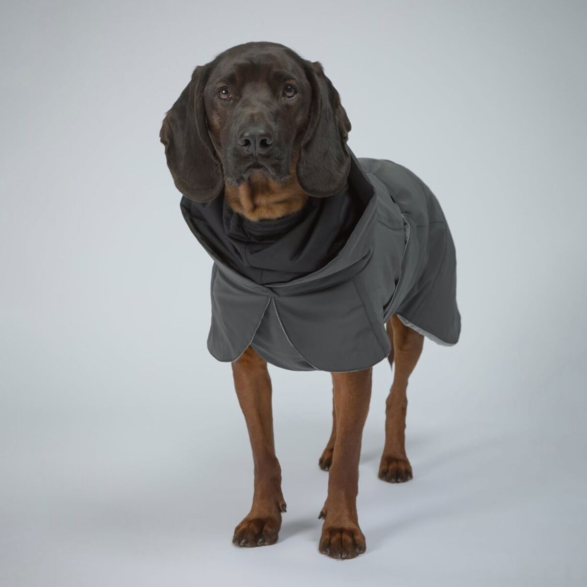 PAIKKA Visibility Winter Jacket, dark