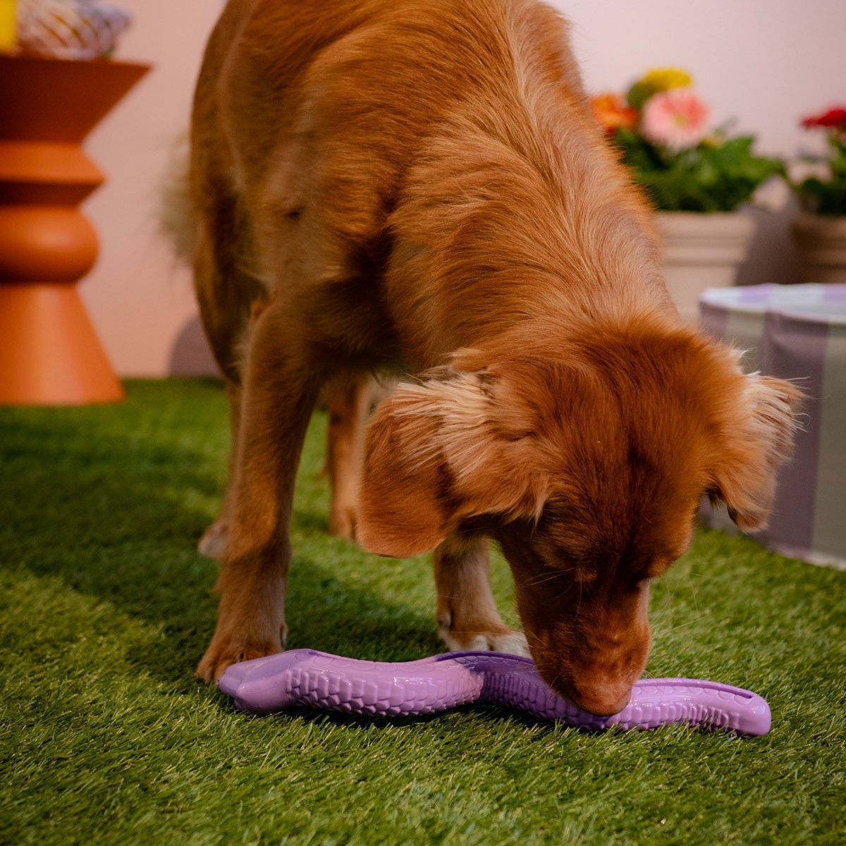 Little&Bigger TPR Snake lilac S