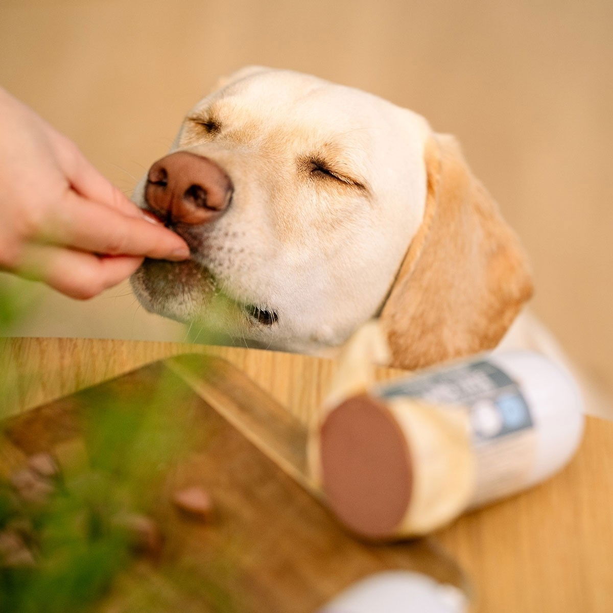 Trick&Treat Paté Sausage Lamb