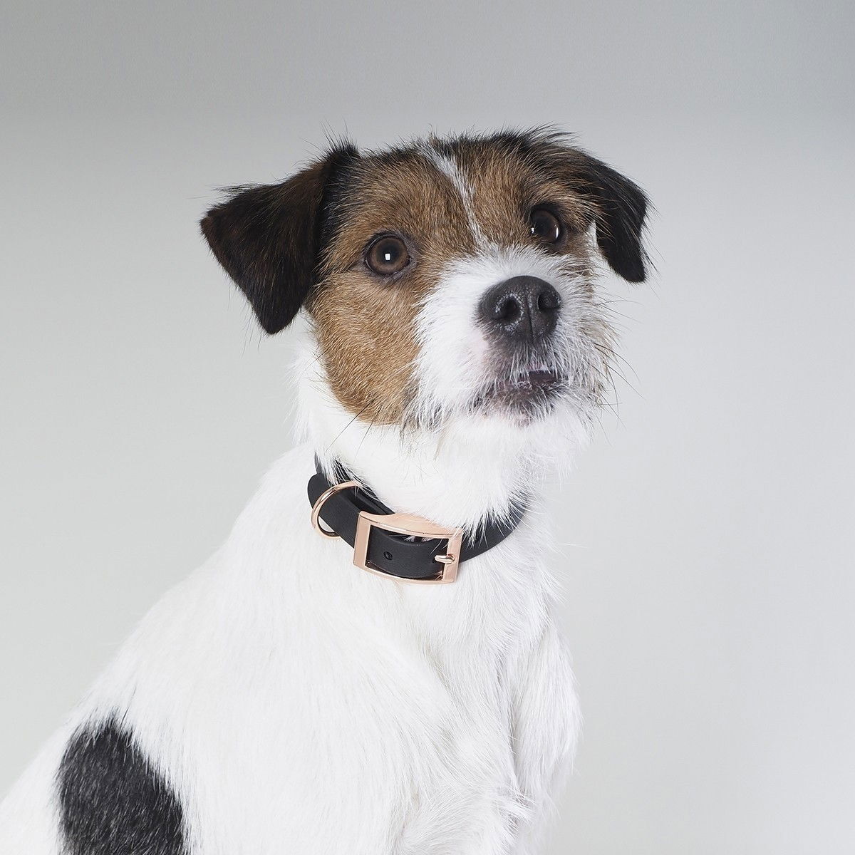 Tyylivoitto Classy narrow collar, black