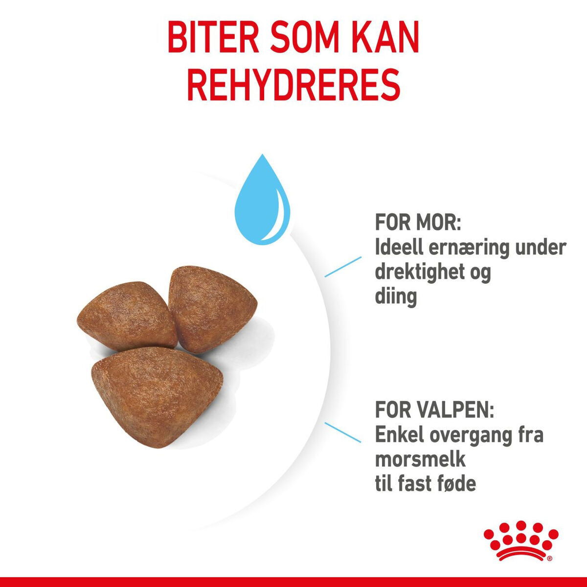 Royal Canin Mini Starter