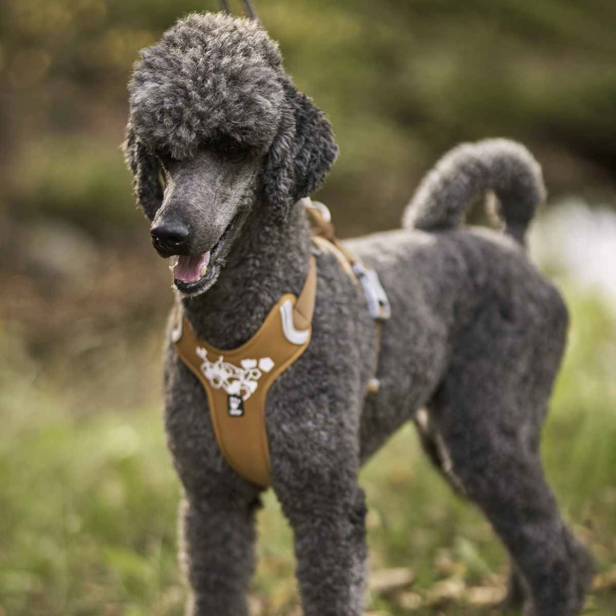 Hurtta Weekend Warrior harness desert