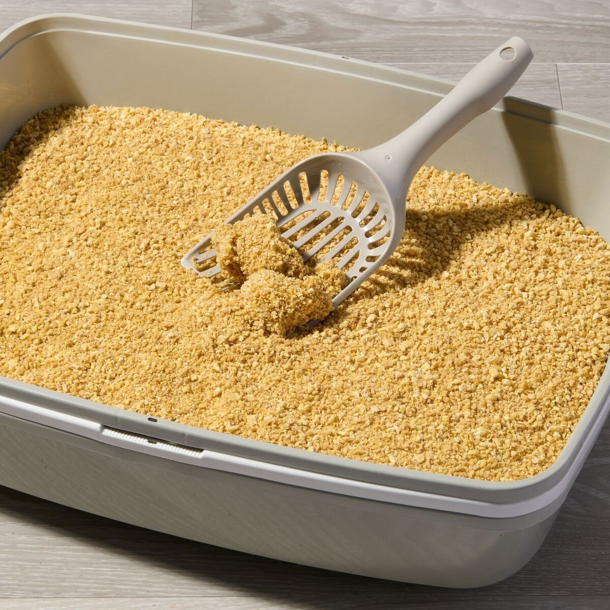 Smily Eco Corn Chips 20 l