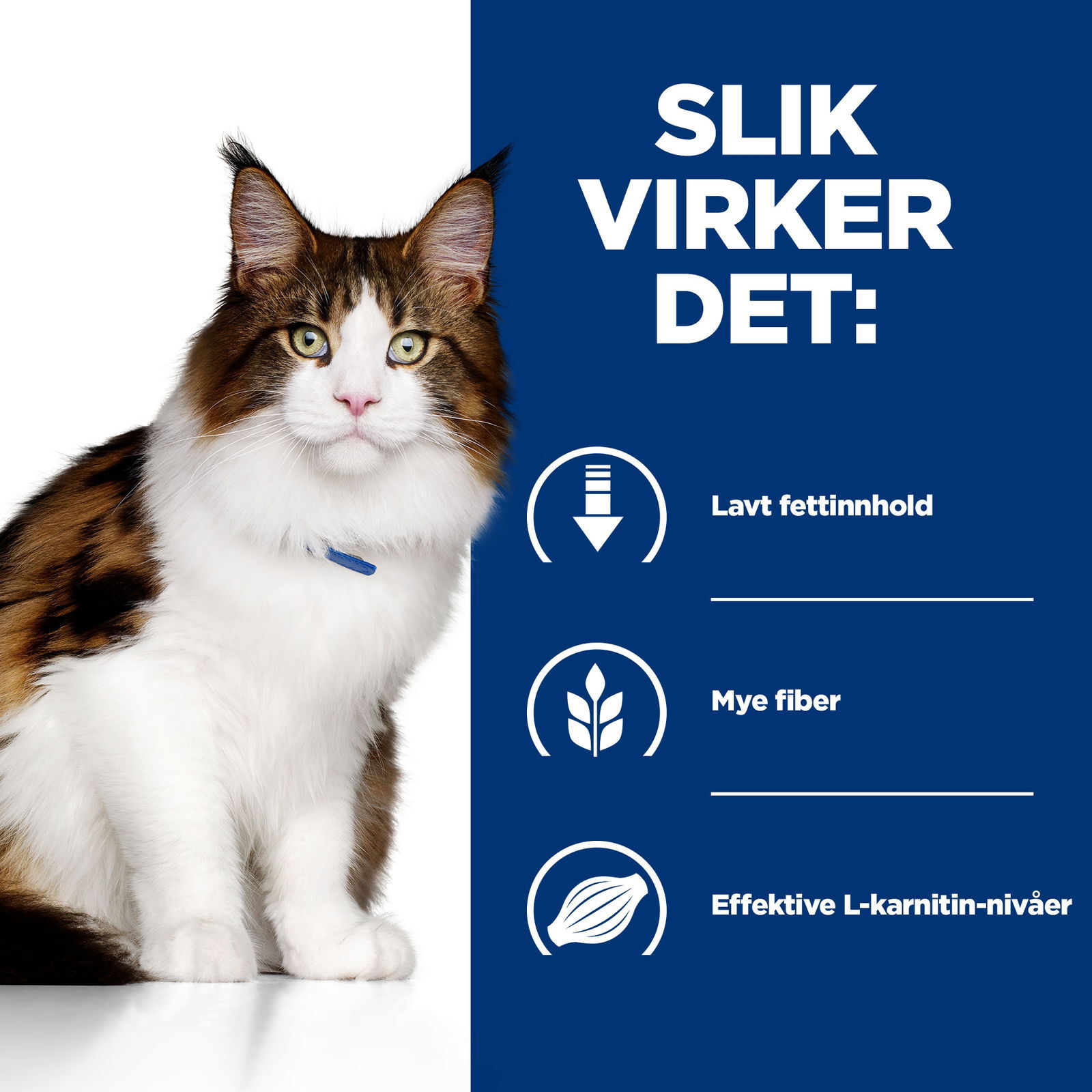 Hill's Diet Cat w/d Minced can 156 g