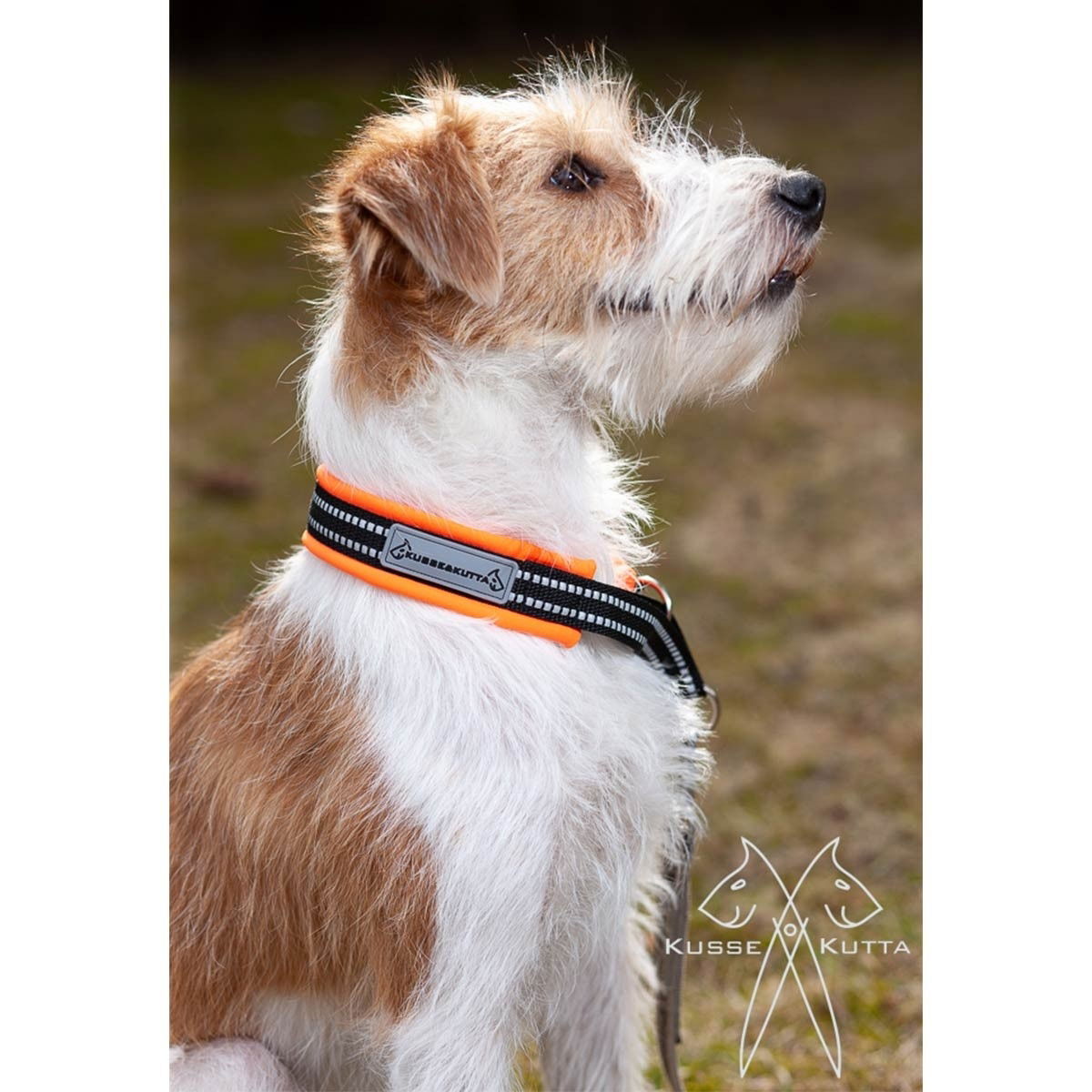 half choke collar, softshell, neon orange