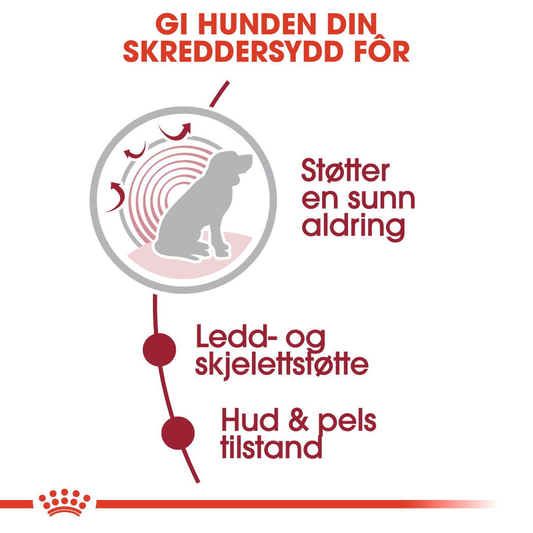 Royal Canin Medium Ageing Gravy våtfôr til hund