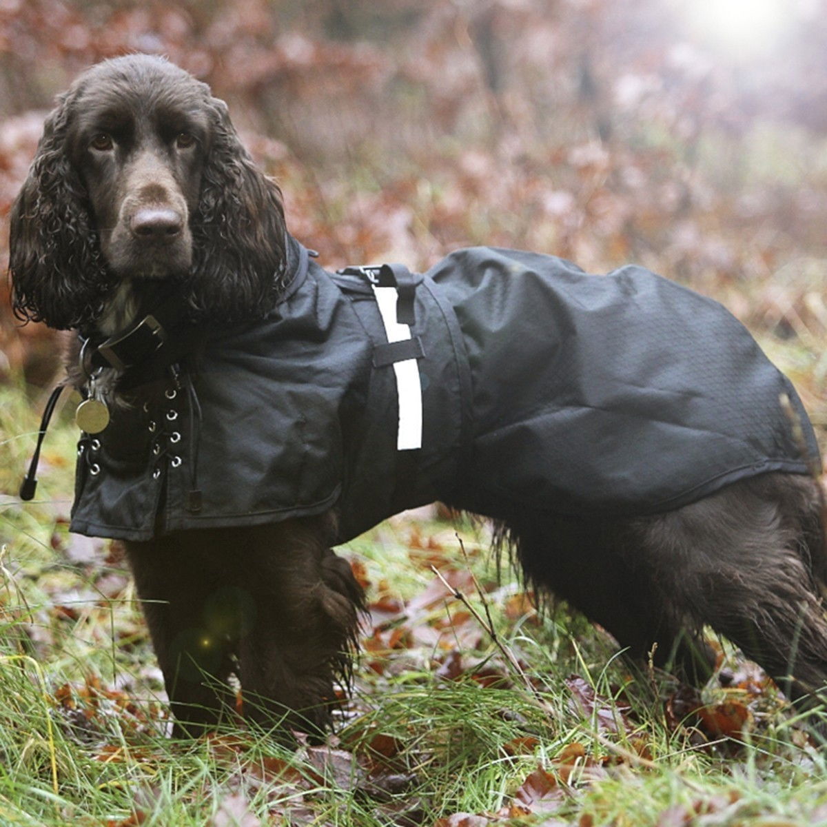 Back on Track Dog rain rug (no filling), Black