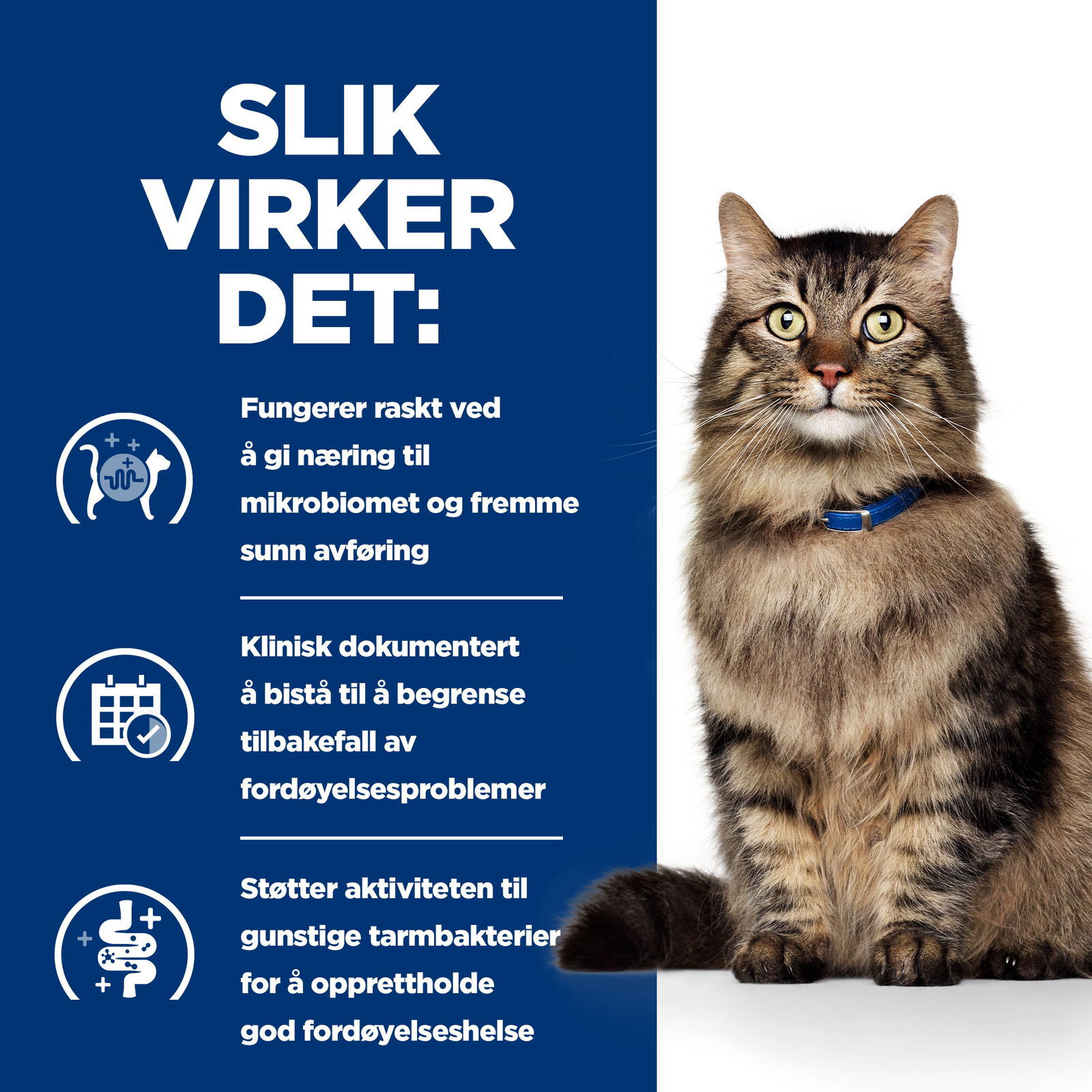 Hill's PD Feline Gastro Biome Chicken