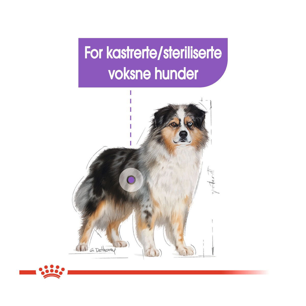 Royal Canin Sterilised Medium Adult tørrfôr til hund