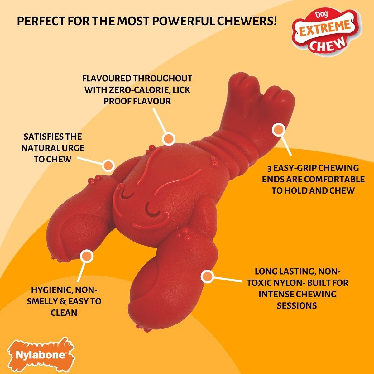 Nylabone Extreme Chew Lobster Filet Mignon Small