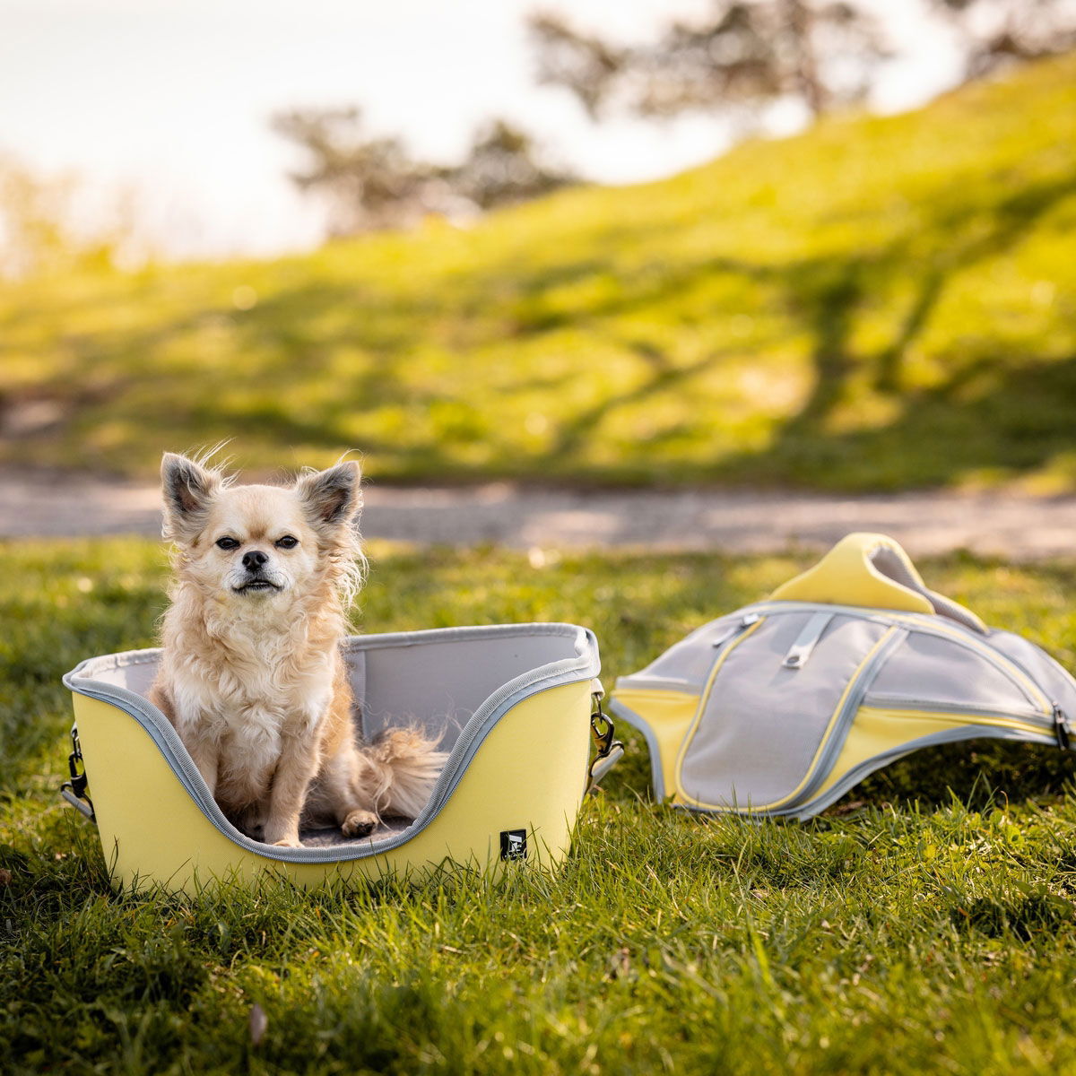 Feel Active Tour basket carrier lemon yellow
