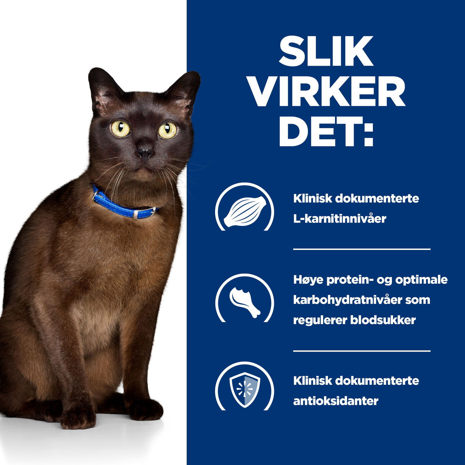 Hills Diet Cat m/d 1,5kg