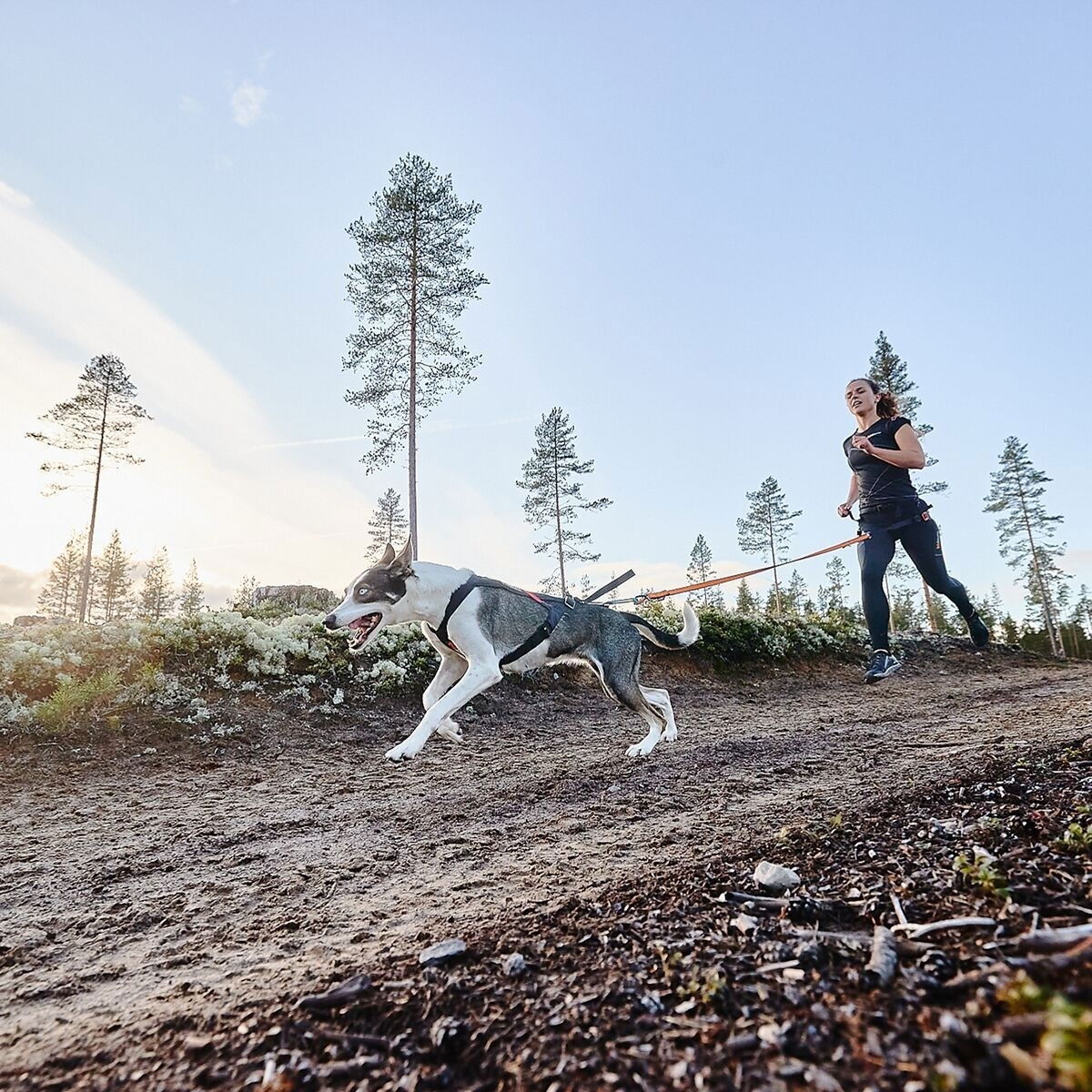 Non-stop Freemotion Trekksele 