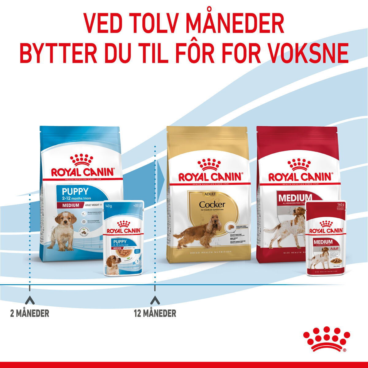 Royal Canin Medium Puppy Gravy våtfôr til valp