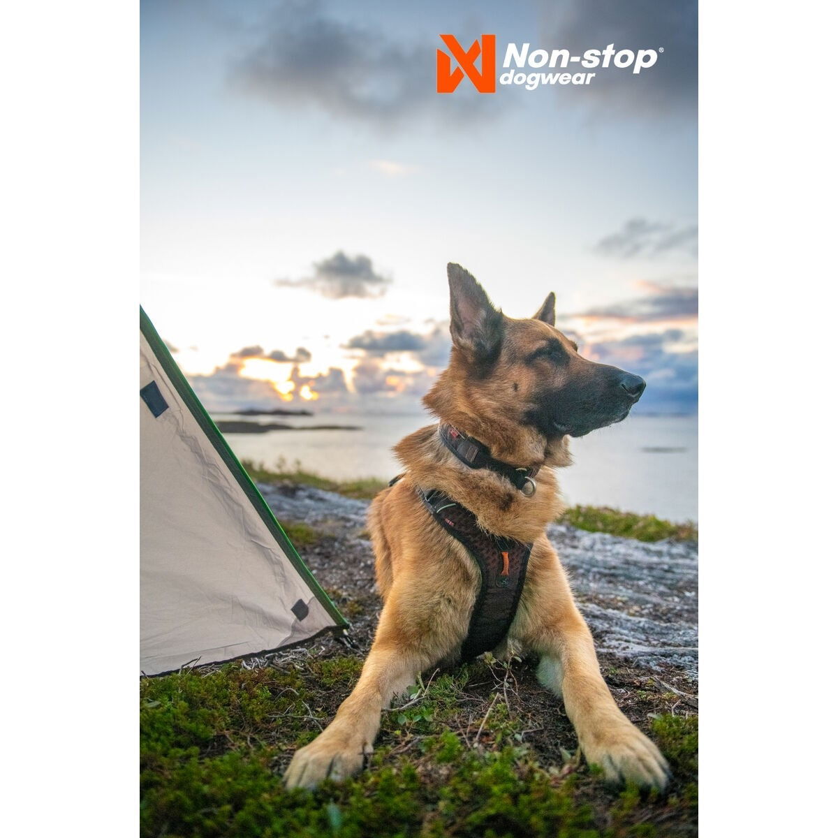 non-Stop Rock harness black/orange