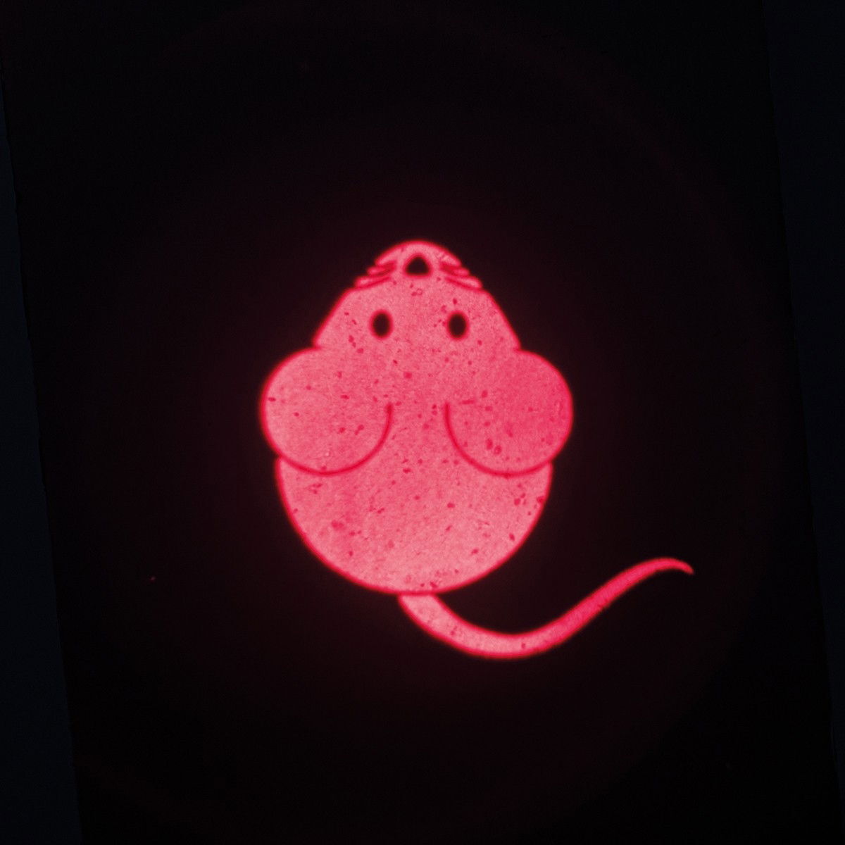 Catch the Light LED Pointer, Mouse