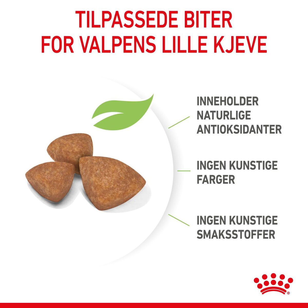 Royal Canin X-small Puppy tørrfôr til valp