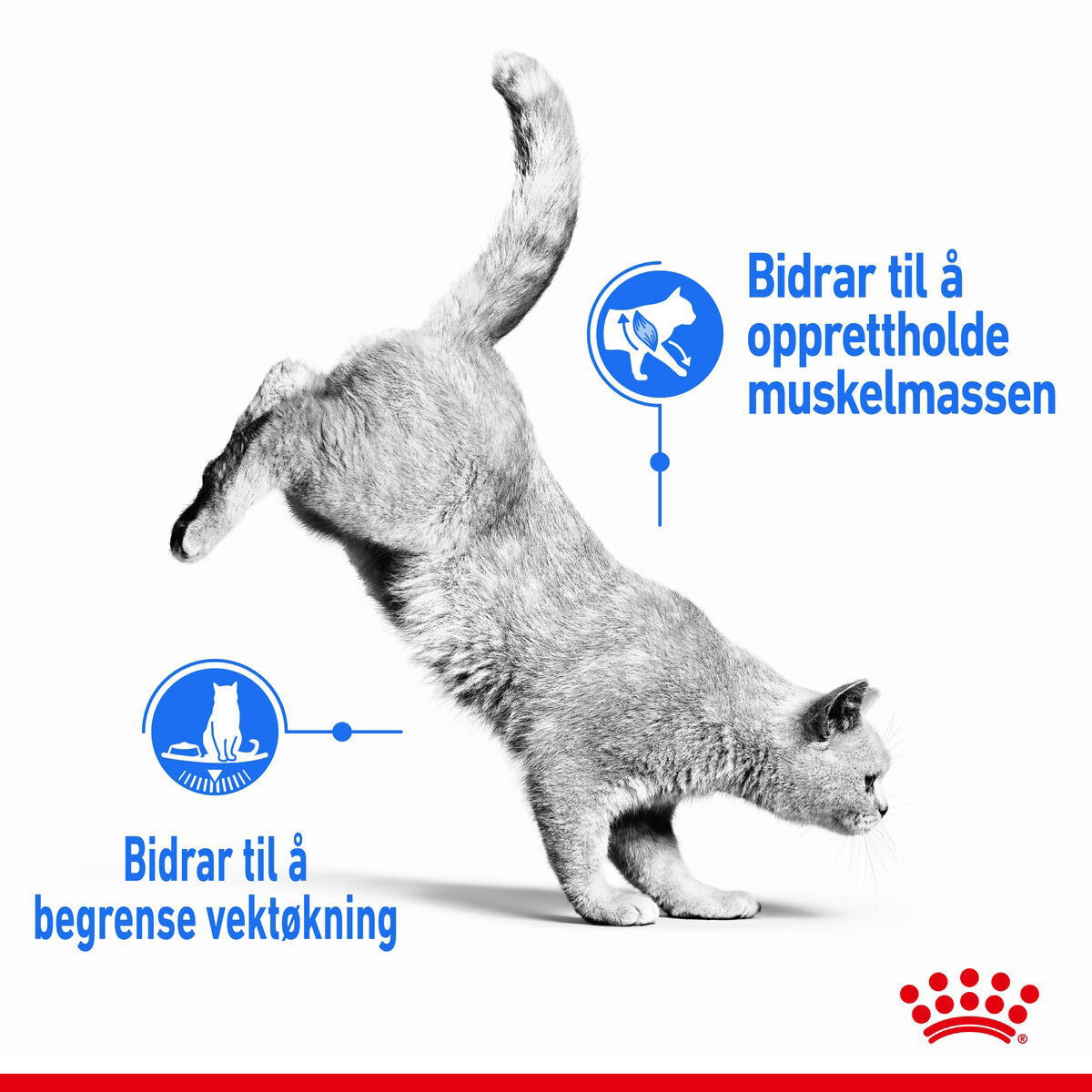 Royal Canin Light Weight Care Gravy Adult våtfôr til katt