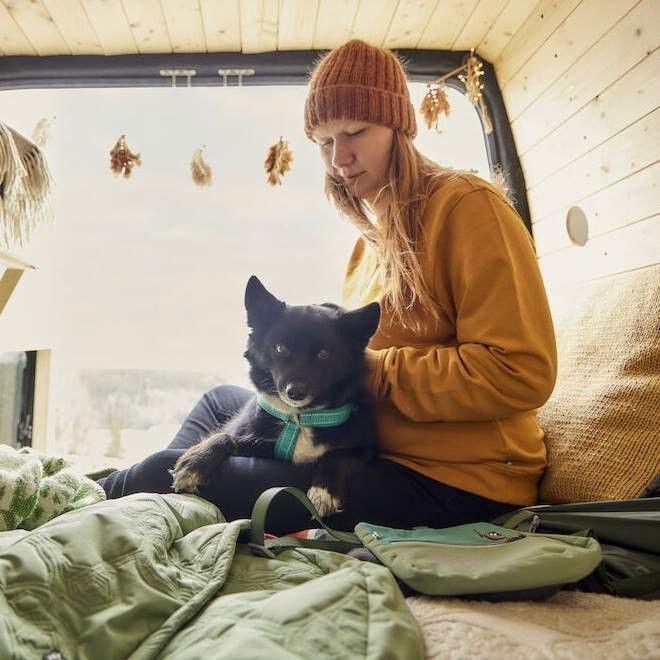 Hurtta Casual Y-harness ECO peacock