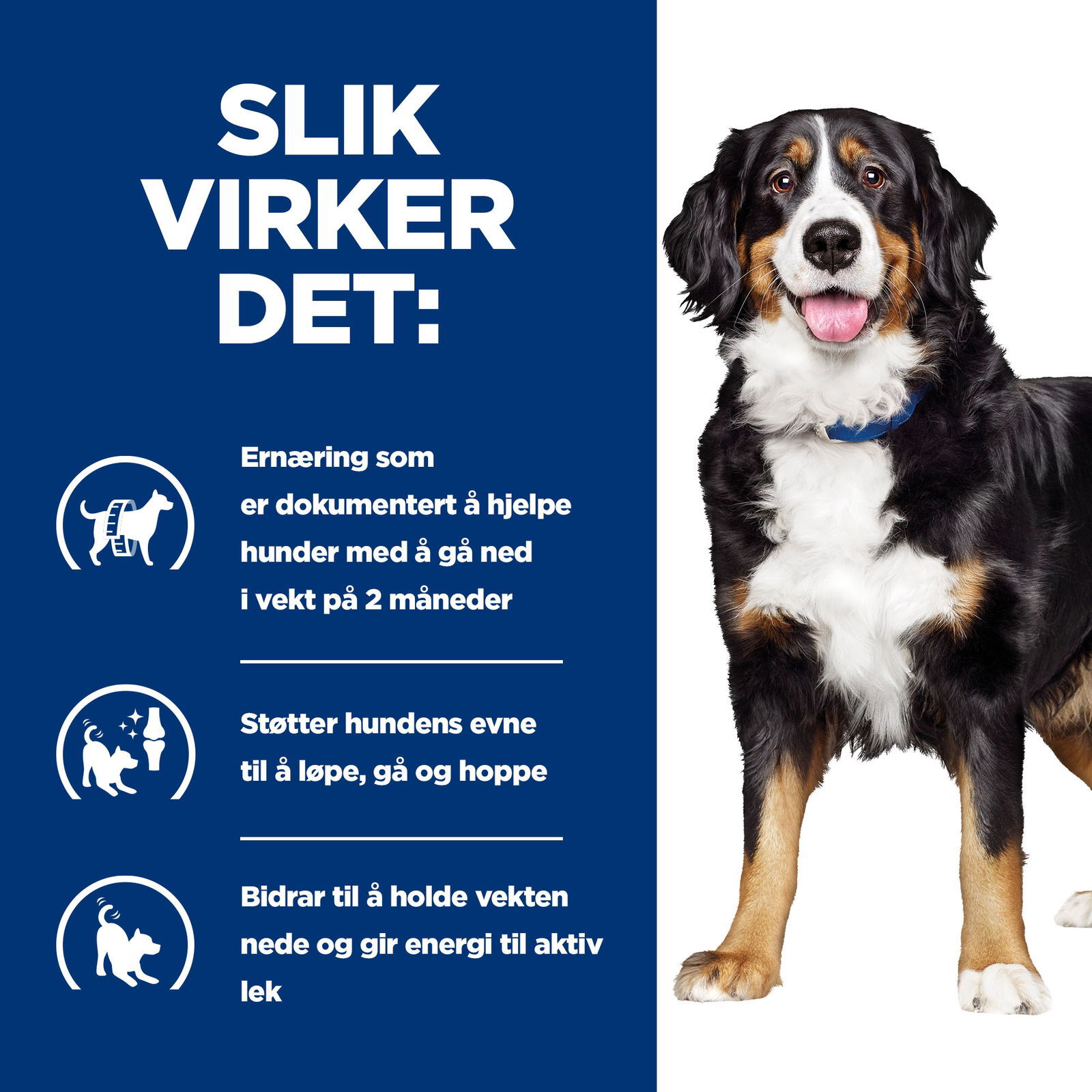 Hills Diet Dog Metabolic + Mobility 12kg