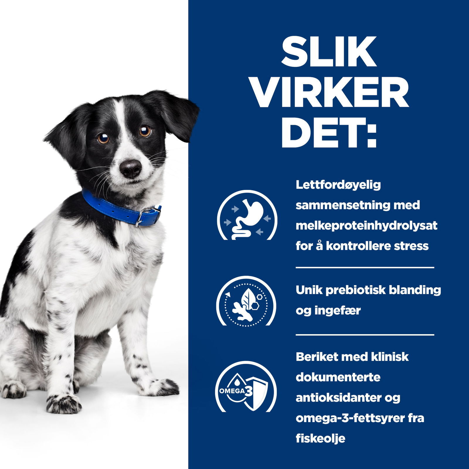 Hill's PRESCRIPTION DIET i/d Stress Mini Stuing for hund Kylling&grønnsaker 