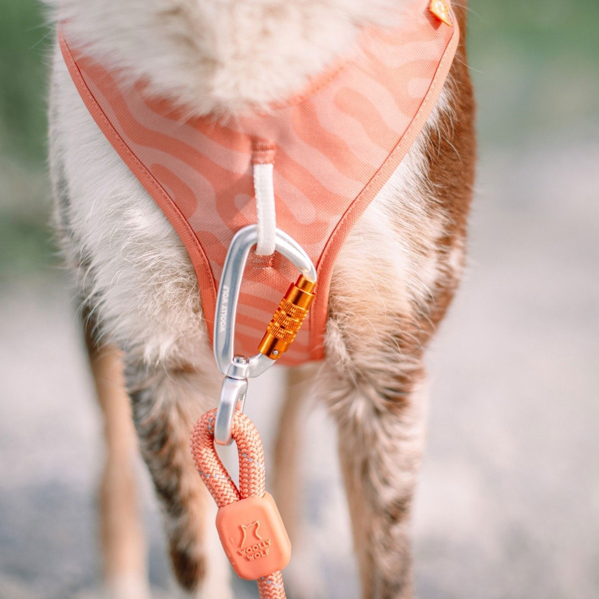 Woolly Wolf Roam Harness Salmon Pink Ripple