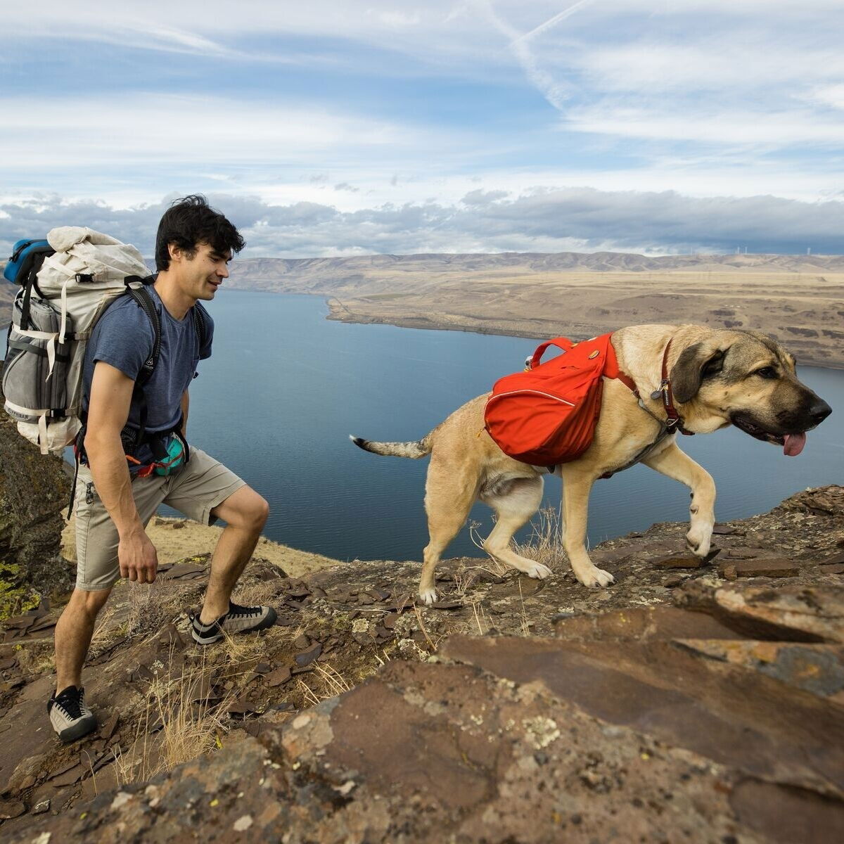 Ruffwear Palisades Pack, Red Sumac