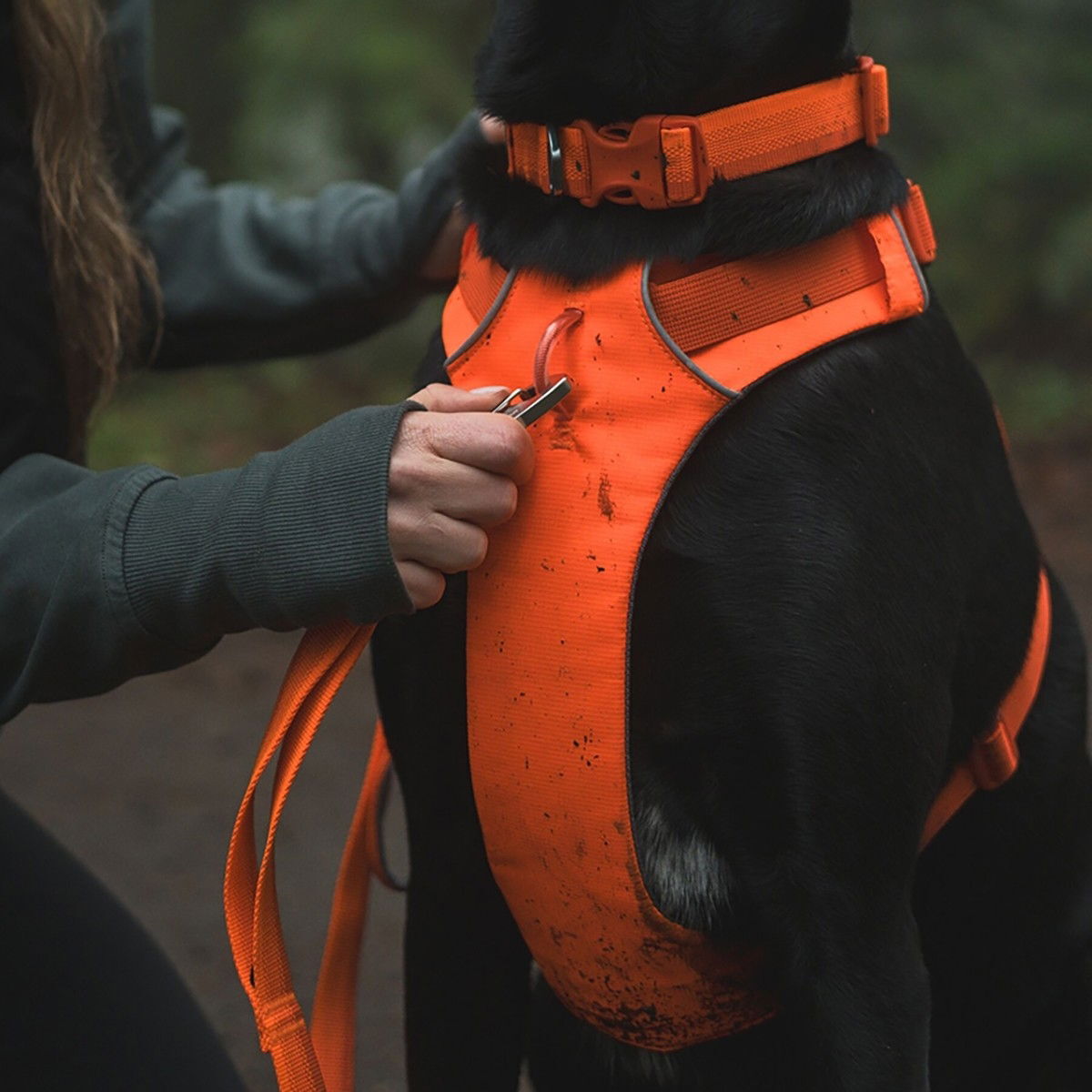 Ruffwear Front Range harness, Blaze Orange